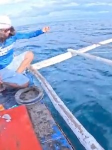 Marble grouper huli | JayMix Vlog