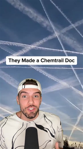 Seeing a 'crazy conspiracy theory' slowly turn into widely accepted fact is one of life's most satisfying pleasures I can't lie. Is this another one of those cases? #interesting #theory #chemtrails #mindblown #documentary | Filip Zieba