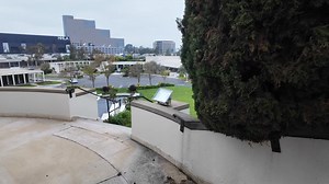 11K views · 67 reactions | Talking about the career of Al Jolson and visiting his grave at Hillside Memorial Park in Los Angeles, California #famousgraves #cemetery #hollywood Part 12 | Freyzel Productions | Facebook