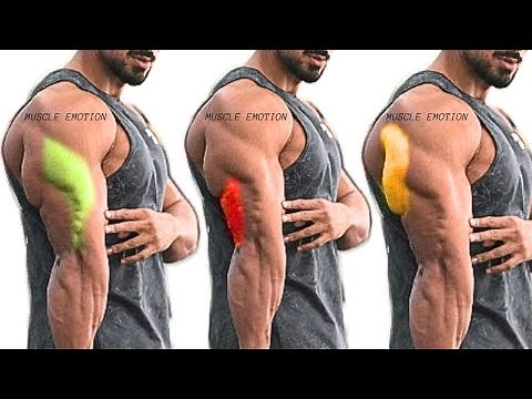TOP 15 TRICEPS WORKOUT AT GYM / LE TOP 15 EXERCISES MUSUCLATION TRICEPS