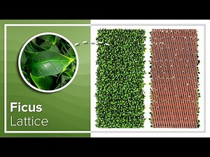 NatraHedge Expandable Faux Ficus Privacy Fence & Trellis