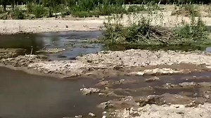 Se cumplen nueve años de un derrame tóxico en el Río Sonora