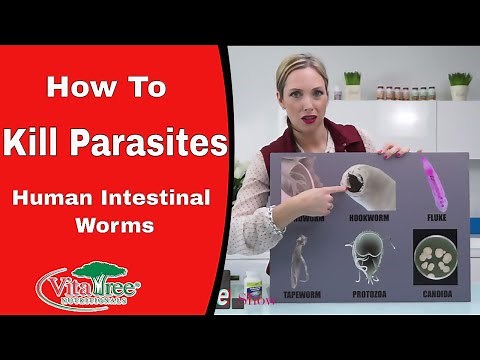 How to Kill Parasites : Human Intestinal Worms : Parasite Cleanse - VitaLife Show Episode 177