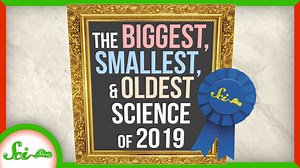 The Tallest, Smallest, and Oldest Science of 2019