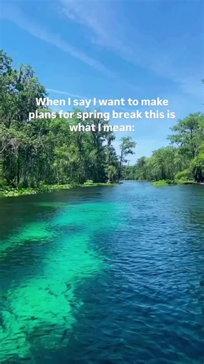 When I say spring break I mean ✨SPRING✨break Add a clear kayaking experience to your spring break at the link in our bio - 🛶 #springbreak #manateeseason #stateparks #kayaking