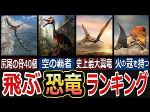 古代の空を制した翼竜たち！驚異の飛行能力と進化を解説！