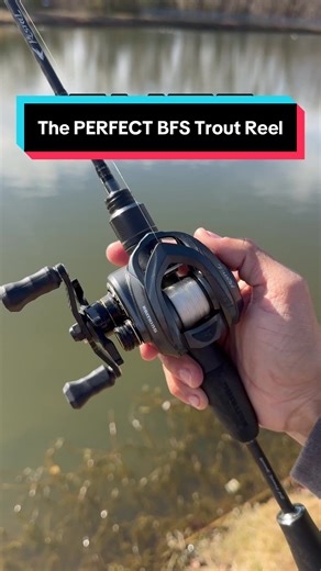 The Perfect BFS Trout Reel for Outstanding Fishing