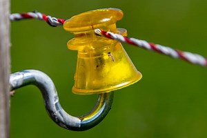 DIY Hot Wire Electric Fence For Dogs In 8 Steps - [2025]