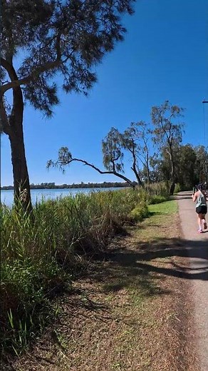Escape the Sydney City: Narrabeen Lagoon 4K Nature POV