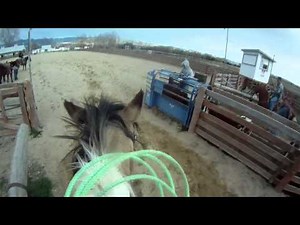 Drustew View: Heading with a Nitro