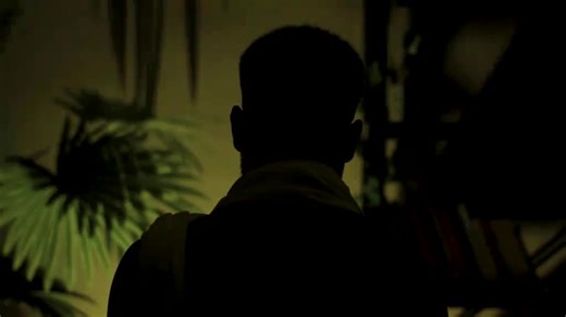 P4 provider on TikTok