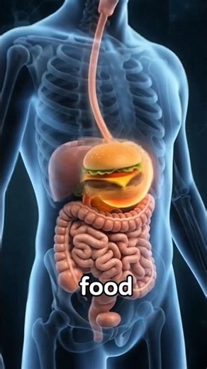 Welcome to InsideYourBodyTV-1 | Explore the Human Body Like Never Before
