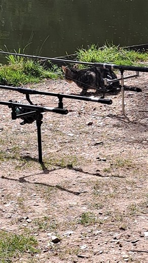 davebaler (@davebaler)’s videos with original sound - davebaler