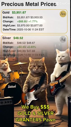 Our marketing budget went to hiring cats to celebrate gold prices... totally worth it! Because the cats know what's up! Gold and silver prices are climbing to record levels. You know what that means? Your old gold jewelry is worth MORE right now than ever before. Those broken chains? Worth more. That single earring? Worth more. That outdated ring? Worth more. The cats are dancing because NOW is the perfect time to sell! Here's what we're buying: ✅ Gold jewelry (any karat!) ✅ Silver pieces ✅ Brok