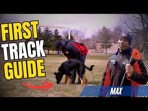 How To Lay Your Dog’s First Track | Beginner Dog Tracking Guide