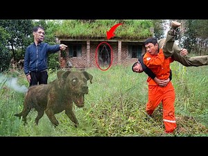 Ghost Dog and Monster Man Discovered in Haunted Abandoned House | Real Footage Shocks Everyone