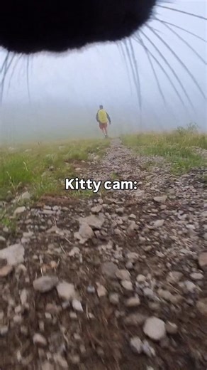 37K reactions · 236 comments | How does Luna let us know she doesn’t want to walk anymore ? Let her show you with the kitty cam 凉‍⬛﫶️ Camera used : insta 360 go3S Link in bio ♥️ @insta360 #insta360go3s #insta360catcam #kittycam #catcam #adventurecat #hikingwithcats | Lunadventurecat | Facebook