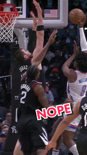 Zubac Highlights: Best Blocks and Swats