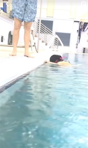 Let me take you on a little trip down memory lane. So, picture this - about 5 years ago when Herra was 3, she decided to go all out and took a daring dive into a massive 11-foot pool! #swimming #swim #swimmingpool #swimmer #pool #summer #triathlon #fitness #water #running #beach #swimwear #sport #swimbikerun #love #nature #swimsuit #swimlife #training #swimmers #sea #travel #cycling #triathlete #triathlontraining #openwaterswimming #photography #ironman #bikini #swimminglessons | Herra Rose The 
