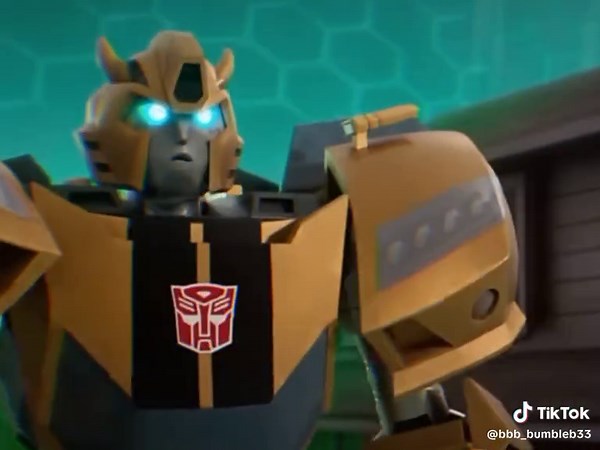 Bumblebee: Exploring the Complex Dynamics in TFES