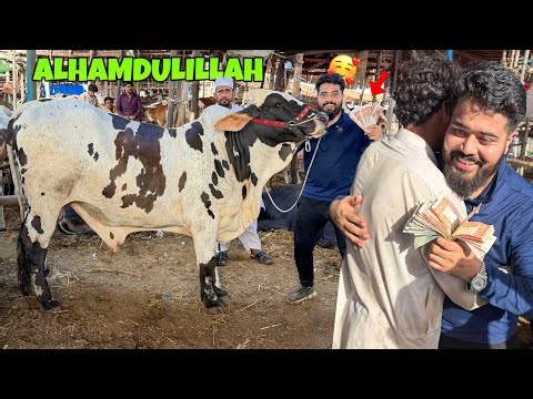 FINALLY APNI QURBANI KE LIYE MOTA TAZA JANWAR LE LIYA 🥰 | SYED FAHAD
