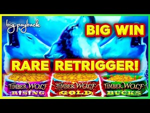RARE RETRIGGER on Timber Wolf Triple Power Slots → BIG WIN BONUS!