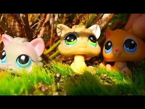 LPS: Warriors of Sunclan (Series trailer)