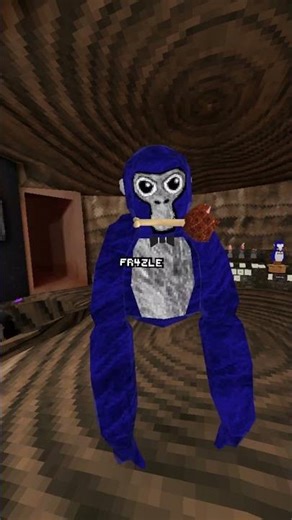 Proof I'm Not Cheating #gorillatag #vr #gtag @pickleVRandotherstuff