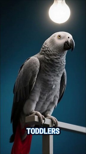 The Smartest Talking Parrot in the World 🦜 | African Grey Facts