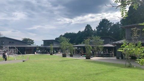 Breathtaking Waterfalls in Japan’s Paradise