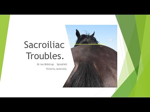 Sacroiliac Troubles