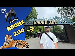 Inside the Bronx Zoo 2025 🦁 NYC’s Wildest Attraction – Must-See Tour & Review!