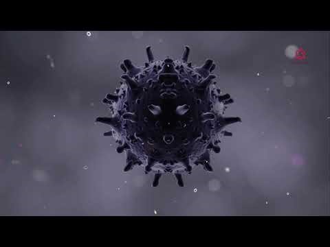 Sample Video: Subject Access Requests SARs under the GDPR