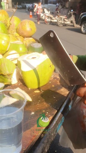 The Art of Coconut Cutting Techniques & Tips
