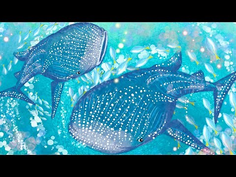 ジンベイザメと海の生き物達イラスト描き方
