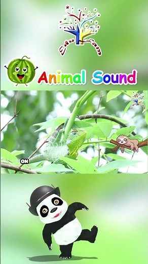 The Animal | Iguana | Science for Kids | Best Learning Videos For Kids | EduFam ~