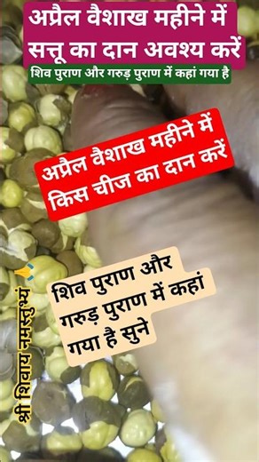 🕉️ अप्रैल वैशाख महीने में सत्तू का दान अवश्य करें, शिव पुराण और गरुड़ पुराण में कहा गया है #ytfacts