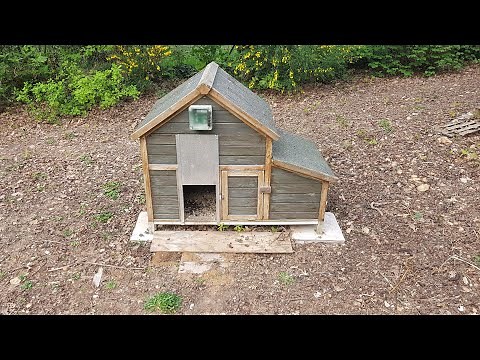 Porte automatique pour poulailler (jour/nuit)