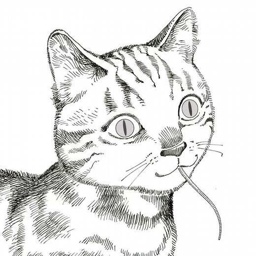 Shintaro kago Strange animation "Cat and mouse"