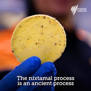 From corn to chip, have you ever wondered how these moreish munchies come to life? Follow the trail of crumbs we've left behind... http://bit.ly/corntochipmagic | SBS Food
