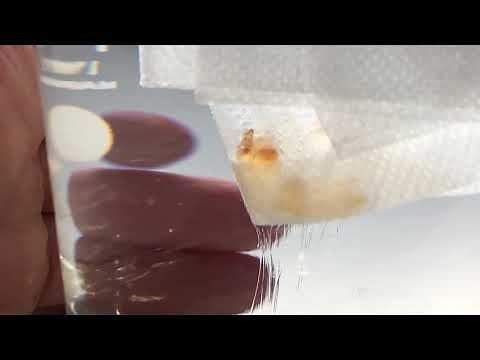 シュリーレン現象