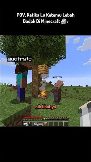 POV, Ketika Lu Nemu Lebah Aneh Di Minecraft 🗿