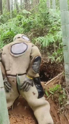 Why do beekeepers soak their clothes before harvesting honey?