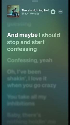 Mis canciones favoritas parte 8: Shawn Mendes y más