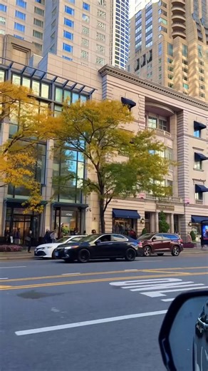 The second most beautiful city with amazing architecture river in the middle of high skyscrapers huge lake like ocean 🇺🇸 Downtown Chicago 📍 #chicago #chicagolife #chicagophotographer #chicagoarchitecture #chitown #chicagoblogger #chicagodowntown #chicagotravel #chicagogram #chicagoland #chicagoexplore #chicagonightlife #chicagosbest | The Chicago City