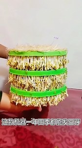 Homemade bean sprout making machine | Blogtamsu BNews Video