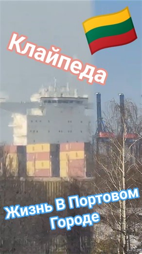 Одна Из Причин Жить В Портовом Городе! #портовыйгород #порт #клайпеда #lietuva #shorts