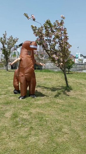 Hilarious Horse Dancing in Inflatable Donkey Costume