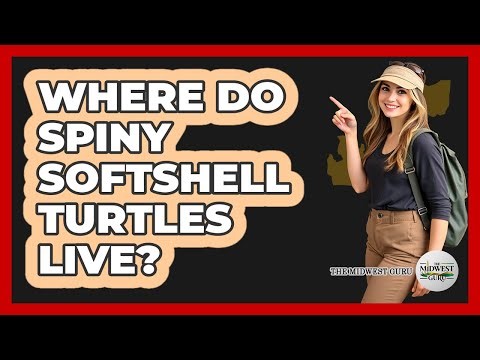 Where Do Spiny Softshell Turtles Live?