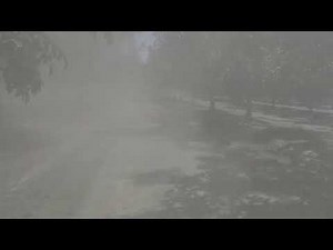 Orchard Float in Walnuts